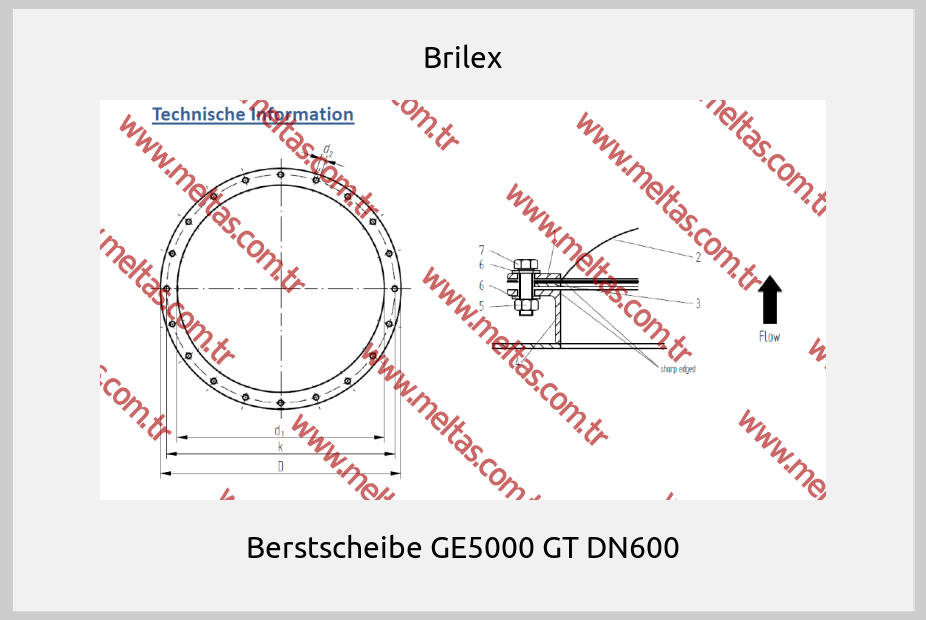 Brilex-Berstscheibe GE5000 GT DN600