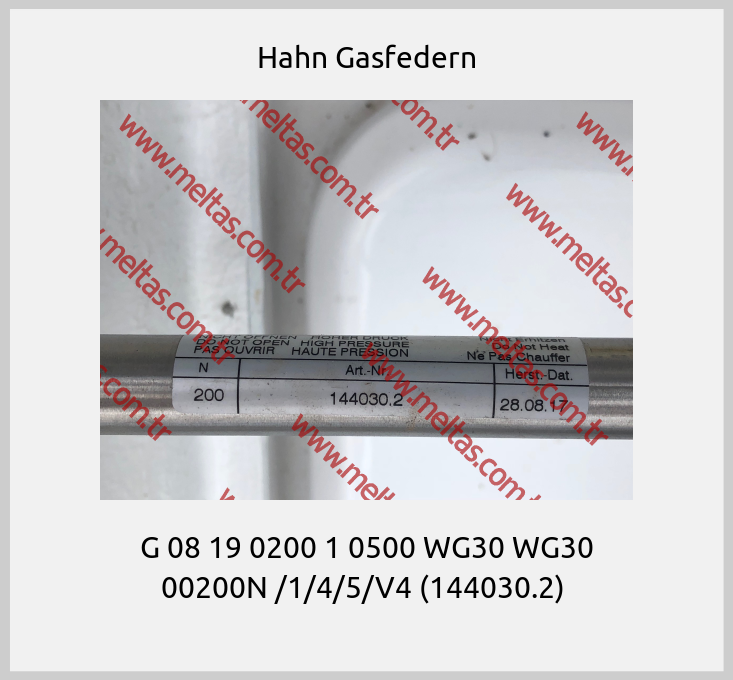 Hahn Gasfedern - G 08 19 0200 1 0500 WG30 WG30 00200N /1/4/5/V4 (144030.2) 