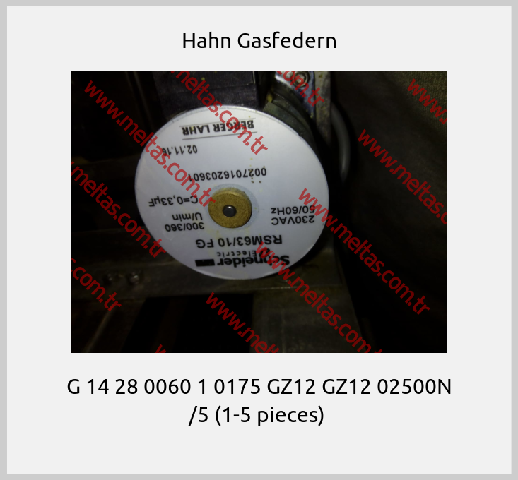Hahn Gasfedern - G 14 28 0060 1 0175 GZ12 GZ12 02500N /5 (1-5 pieces) 