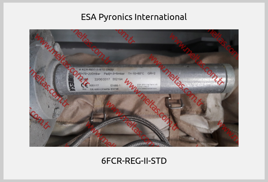 ESA Pyronics International - 6FCR-REG-II-STD