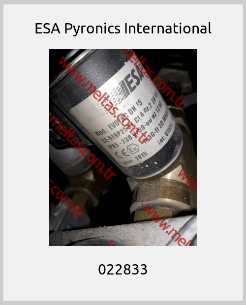 ESA Pyronics International - 022833