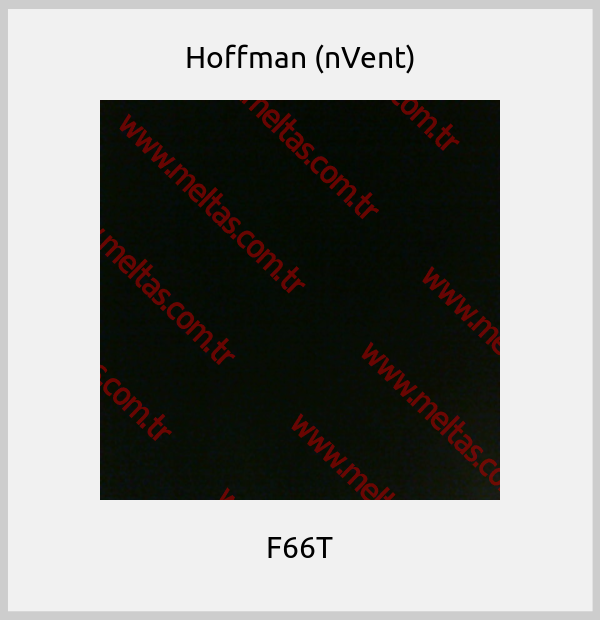 Hoffman (nVent) - F66T