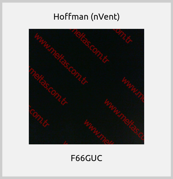 Hoffman (nVent) - F66GUC