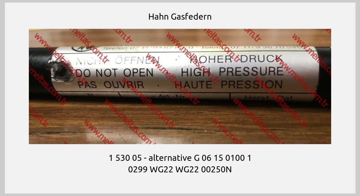 Hahn Gasfedern - 1 530 05 - alternative G 06 15 0100 1 0299 WG22 WG22 00250N