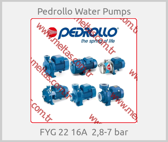 Pedrollo Water Pumps - FYG 22 16А  2,8-7 bar