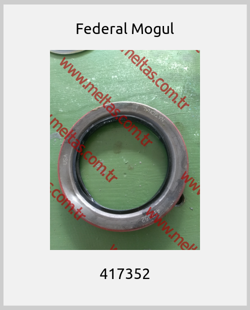 Federal Mogul-417352