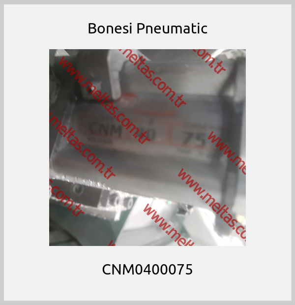 Bonesi Pneumatic - CNM0400075