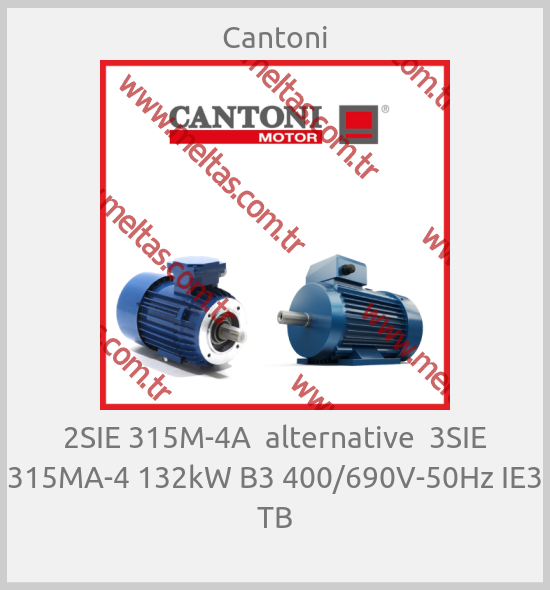 Cantoni-2SIE 315M-4A  alternative  3SIE 315MA-4 132kW B3 400/690V-50Hz IE3 TB