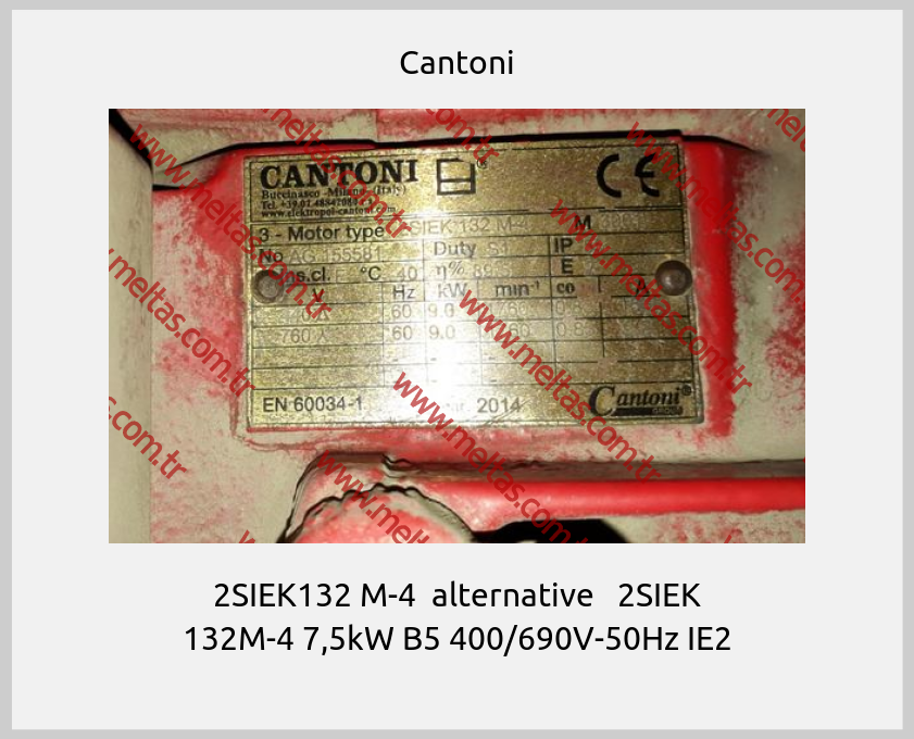 Cantoni - 2SIEK132 M-4  alternative   2SIEK 132M-4 7,5kW B5 400/690V-50Hz IE2
