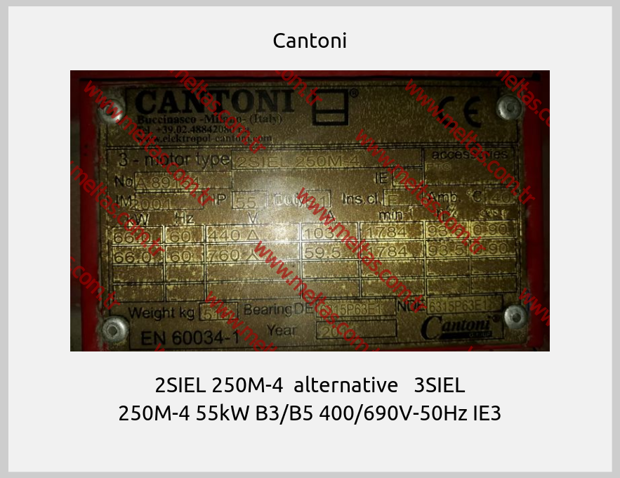 Cantoni-2SIEL 250M-4  alternative   3SIEL 250M-4 55kW B3/B5 400/690V-50Hz IE3