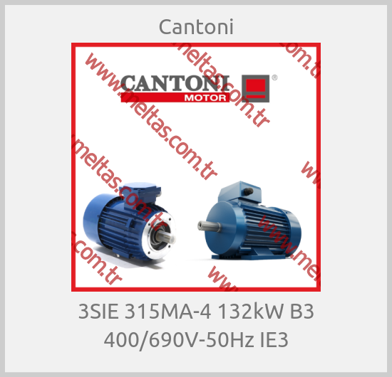 Cantoni - 3SIE 315MA-4 132kW B3 400/690V-50Hz IE3