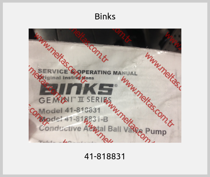 Binks - 41-818831