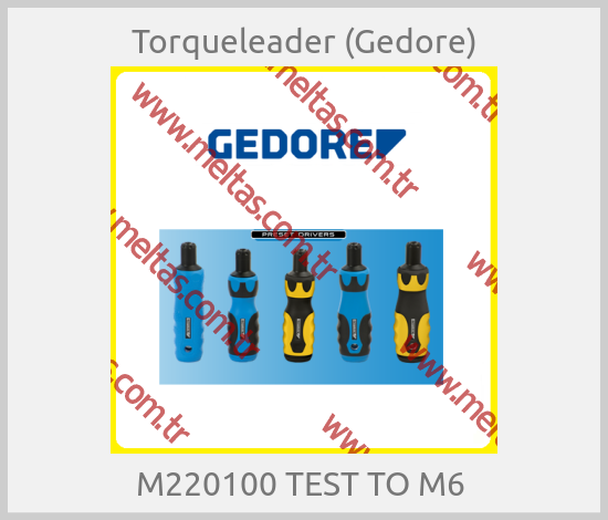 Torqueleader (Gedore) - M220100 TEST TO M6 
