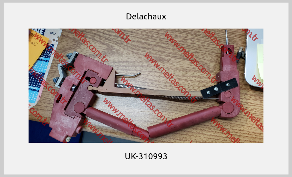 Delachaux - UK-310993
