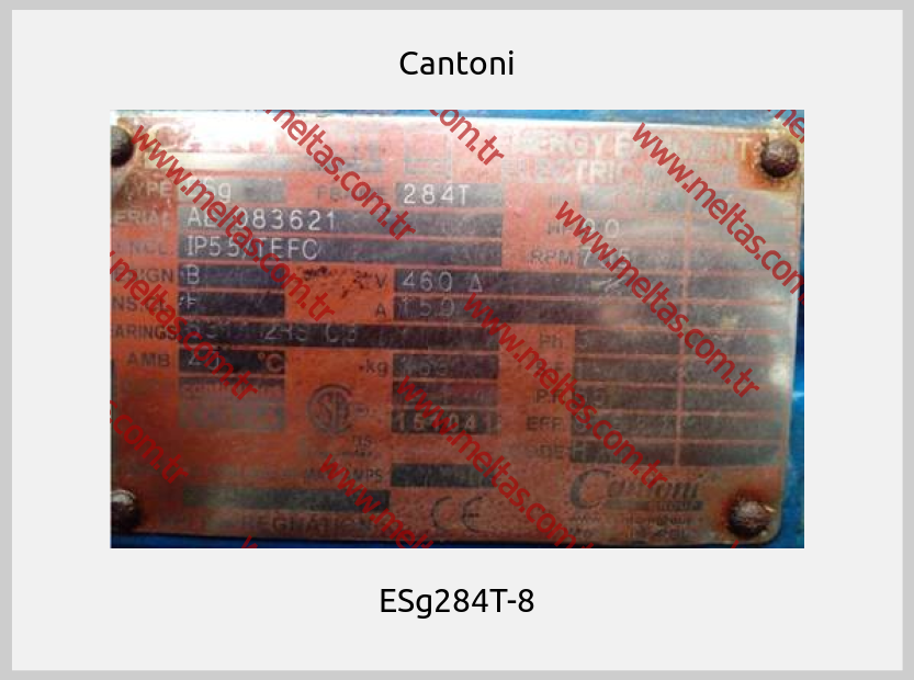 Cantoni-ESg284T-8