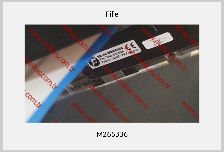 Fife - M266336