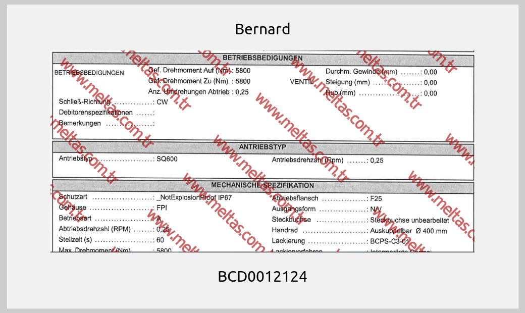 Bernard - BCD0012124