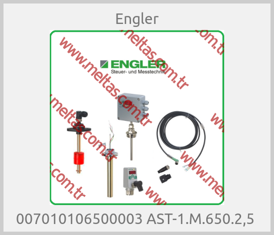 Engler - 007010106500003 AST-1.M.650.2,5 