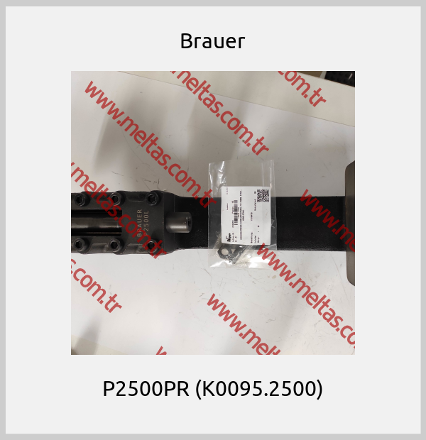 Brauer - P2500PR (K0095.2500)