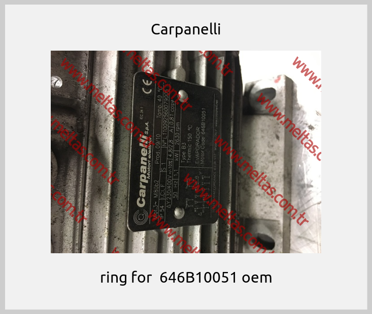 Carpanelli - ring for  646B10051 oem