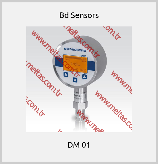 Bd Sensors - DM 01
