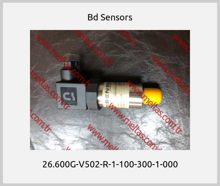 Bd Sensors - 26.600G-V502-R-1-100-300-1-000