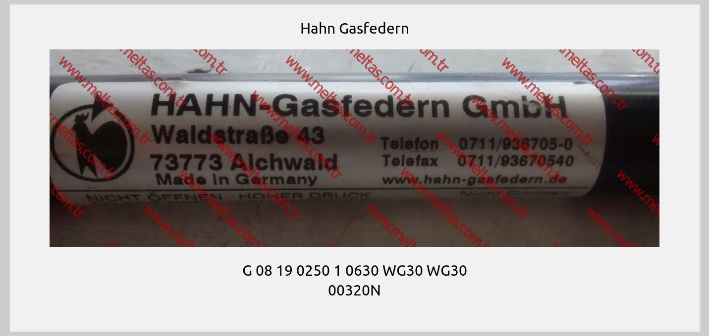 Hahn Gasfedern - G 08 19 0250 1 0630 WG30 WG30 00320N