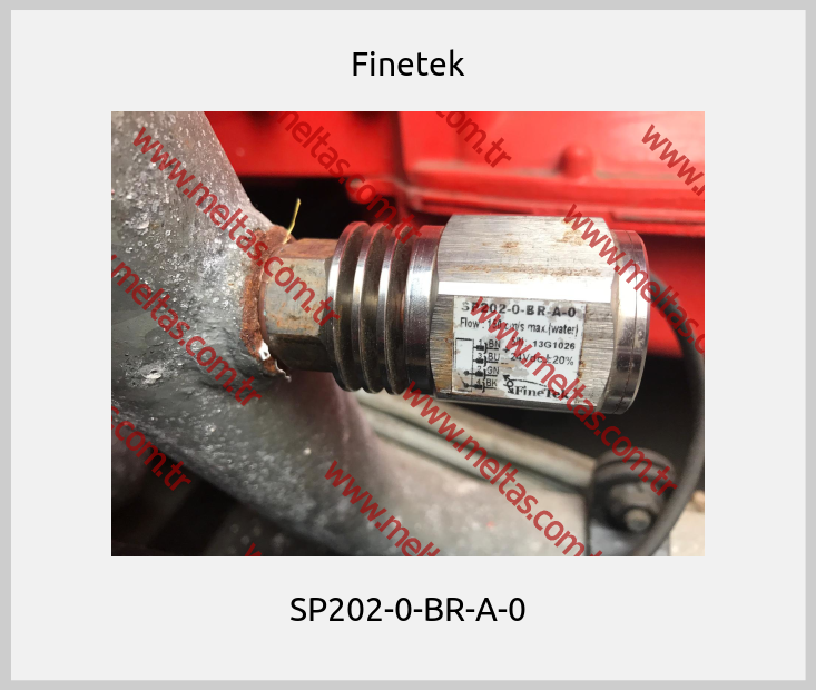 Finetek-SP202-0-BR-A-0