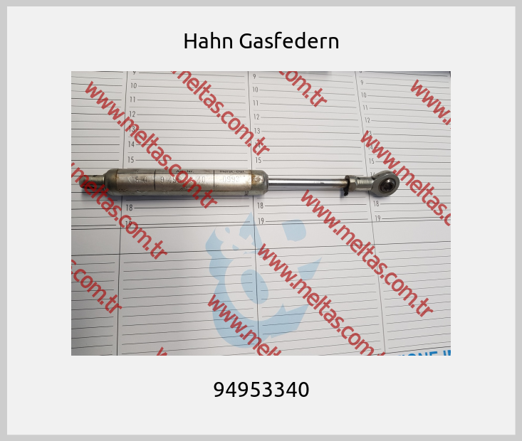 Hahn Gasfedern - 94953340