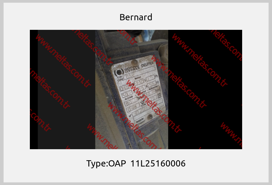 Bernard-Type:OAP  11L25160006
