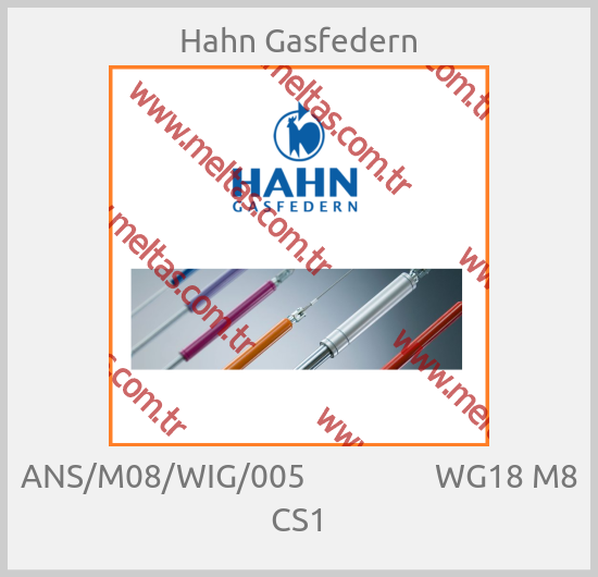 Hahn Gasfedern - ANS/M08/WIG/005                 WG18 M8 CS1