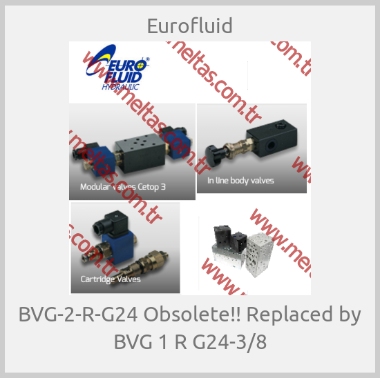 Eurofluid - BVG-2-R-G24 Obsolete!! Replaced by BVG 1 R G24-3/8