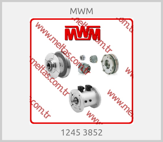 MWM - 1245 3852