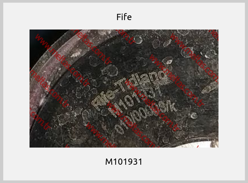 Fife - M101931