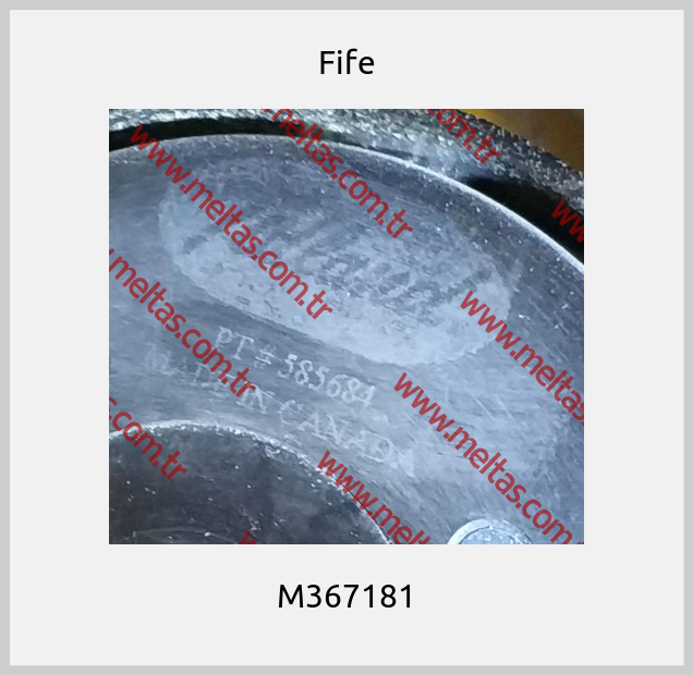 Fife - M367181