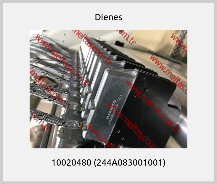 Dienes-10020480 (244A083001001)