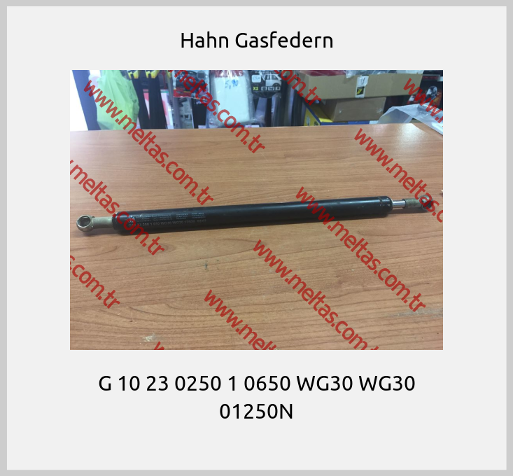 Hahn Gasfedern - G 10 23 0250 1 0650 WG30 WG30 01250N