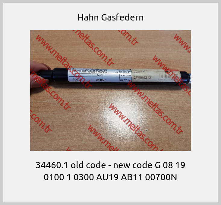 Hahn Gasfedern - 34460.1 old code - new code G 08 19 0100 1 0300 AU19 AB11 00700N