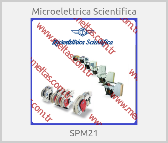 Microelettrica Scientifica-SPM21