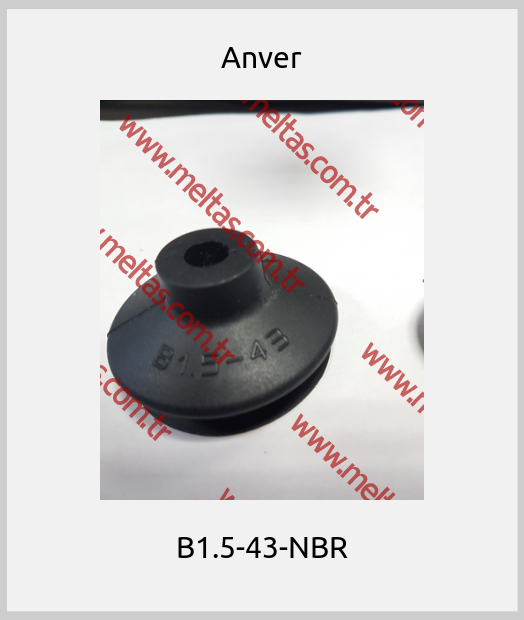 Anver - B1.5-43-NBR