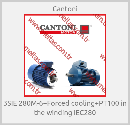 Cantoni - 3SIE 280M-6+Forced cooling+PT100 in the winding IEC280