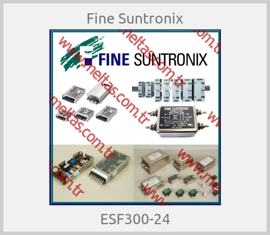 Fine Suntronix - ESF300-24