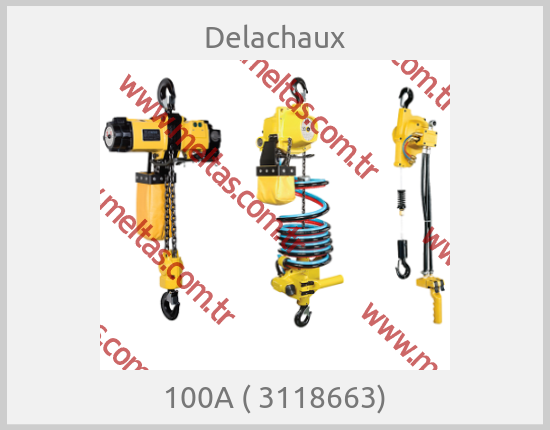 Delachaux-100A ( 3118663)
