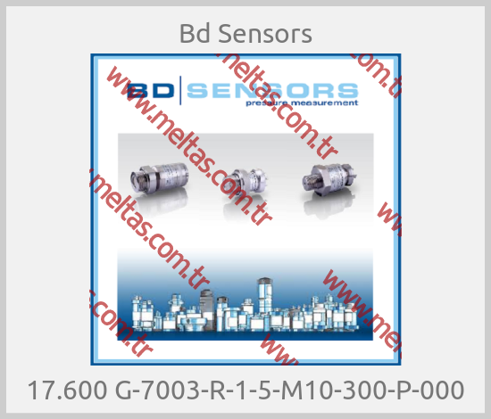 Bd Sensors - 17.600 G-7003-R-1-5-M10-300-P-000