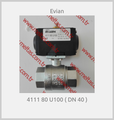 Evian - 4111 80 U100 ( DN 40 )
