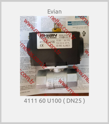Evian - 4111 60 U100 ( DN25 )