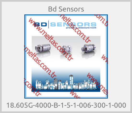 Bd Sensors - 18.605G-4000-B-1-5-1-006-300-1-000