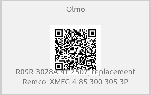 Olmo - R09R-3028A-4T-2507, replacement Remco  XMFG-4-85-300-30S-3P