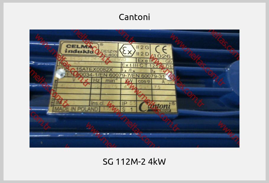 Cantoni-SG 112M-2 4kW