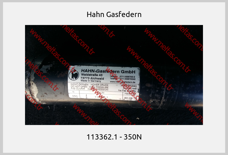 Hahn Gasfedern - 113362.1 - 350N